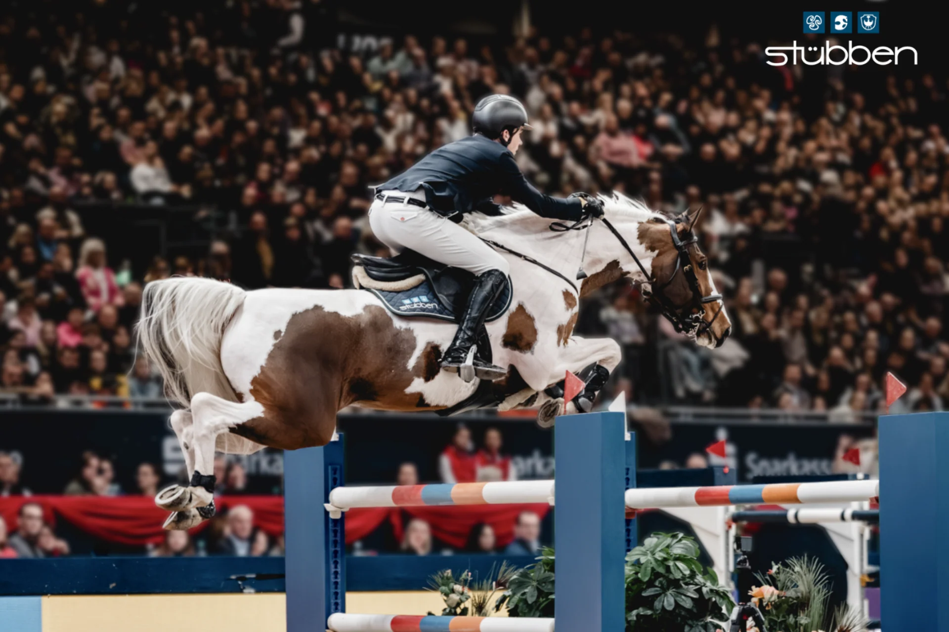 Master the Art of Riding